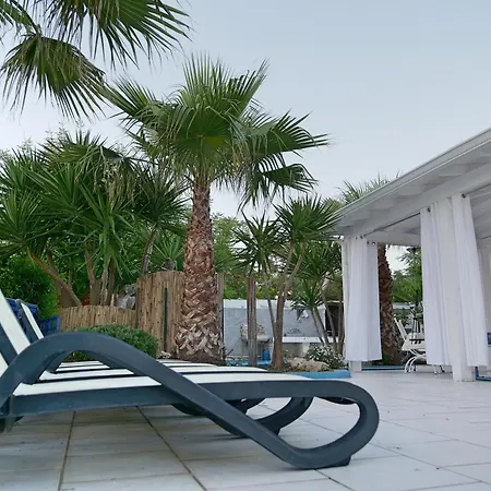 Gisella Punta Prosciutto