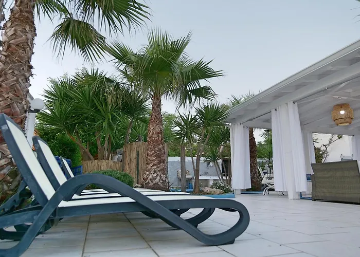 Gisella Punta Prosciutto